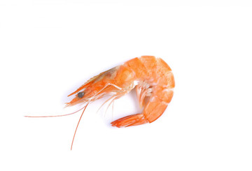 Aroma de Gamba Polvo