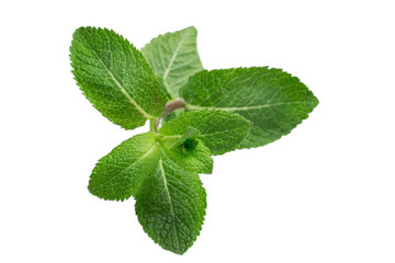 Aroma Natural de Hierbabuena Liposoluble