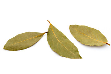 Aroma de Laurel Polvo