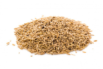 Aroma de Malta Pasta
