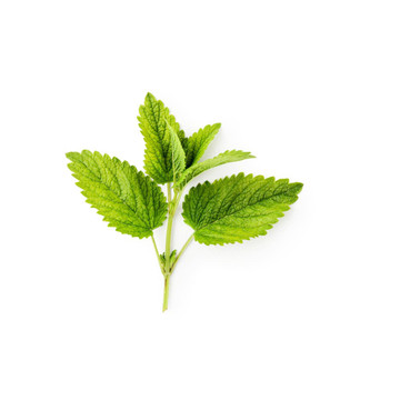 Aroma de Melisa Liposoluble