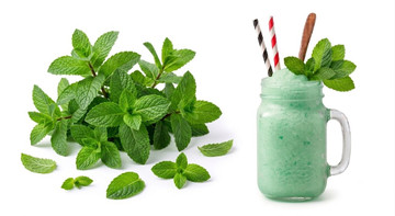 Concentrado de Aroma de Menta 1+4