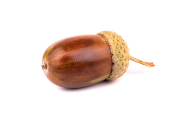 Aroma de Bellota Hidrosoluble