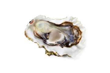 Aroma de Ostra Pasta