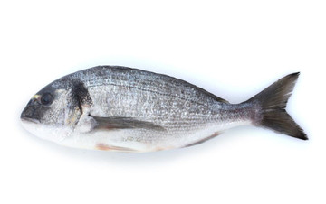 Aroma de Pescado Liposoluble