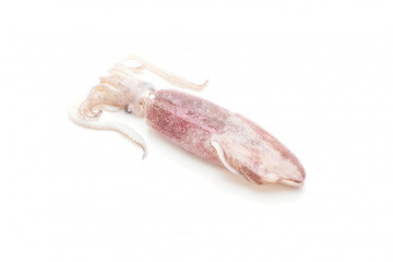Aroma de Calamar Hidrosoluble