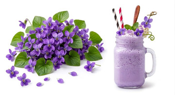 Concentrado de Aroma Natural de Violeta 1+4