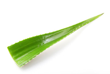 Aroma de Aloe Vera Polvo