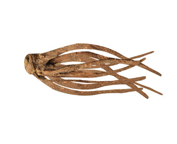 Aroma Natural de Angélica Raices Polvo