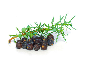 Aroma Natural de Bayas de Enebro Hidrosoluble
