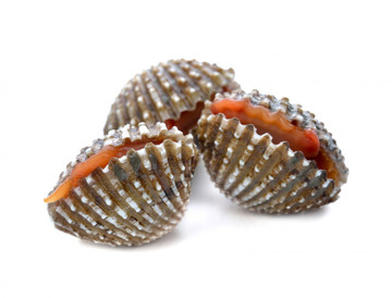 Aroma Natural de Berberecho Hidrosoluble