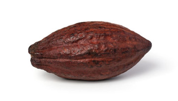 Aroma Natural de Cacao Liposoluble