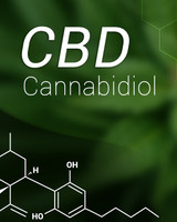 How is cannabidiol different from marijuana?