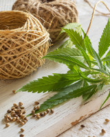 Benefits of using cannabidiol to your health