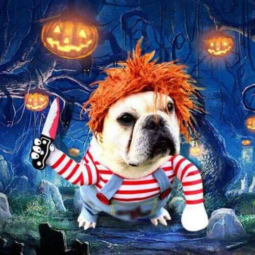Déguisement Halloween Pour Chien et Chat