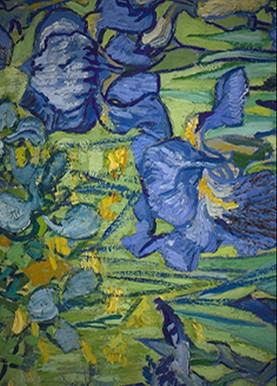 Print of Irises