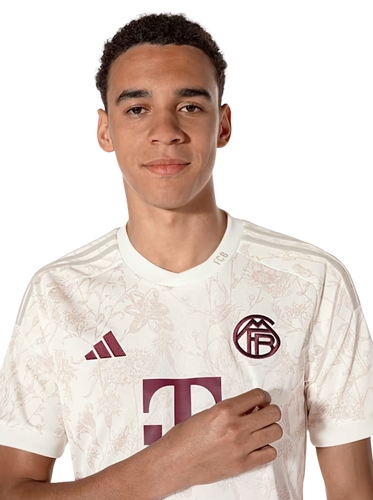 Bayern Munich 23/24 Stadium Men's Third Shirt