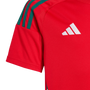 Wales 2024 Kid's Home Shirt and Shorts