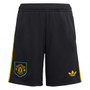 Manchester United 25/26 Men's Third Long Sleeve Shirt