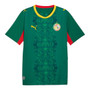 Senegal 2026 Stadium Men's Home Shirt