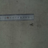 SCREW-TAPTYPE,BH,+,B,M4,L10,NI PLT,SWRCH - HP Genuine Replacement Spare Parts - 6003-001256-HP