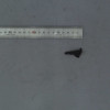 LEVER-EMPTY PAPER - HP Genuine Replacement Spare Parts - JC66-03217A-HP