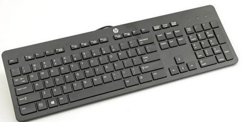 HP HP HALLEY USB KEYBOARD DIB US - L96909-001
