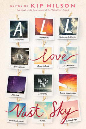 All the Love Under the Vast Sky Cover