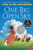 One Big Open Sky Cover