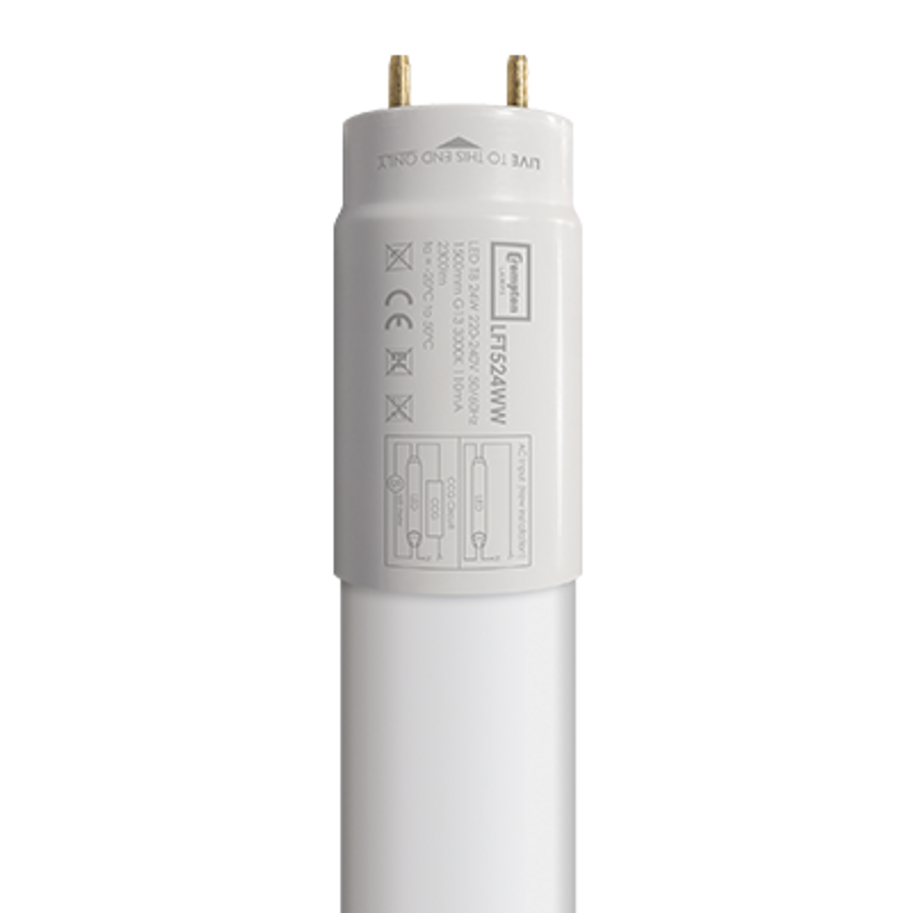 T8 Tube