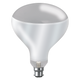 https://dam.epim.online/cromptonlamps-4db1624d-554a-427d-ace5-5ea137e17502/Product Images/Lamps/Traditional/Infra Red/IR250HGCBC.png