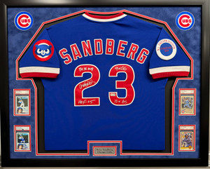 Executive Framed Baseball Jersey with Cards and Nameplate