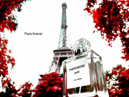 Forever Phe Romone Perfume Increase Attractiveness Perfume De