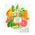 DefineMe - Harper Natural Perfume Oil