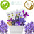 purelis - Deluxe XL Gourmet Spa Gift Basket with Essential Oils (Grapeseed & Lavender)