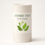 B. Divine Aromatherapy - Stinky Feet Deodorizing Powder