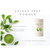 B. Divine Aromatherapy - Stinky Feet Deodorizing Powder