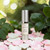 Skin and Vine - Whip Eye Renew Concentrate - 15 ml