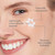 BEEKMAN 1802 - Bloom Cream Daily Face Moisturizer 1.6 oz.