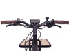 Magnum Payload Electric Bike
