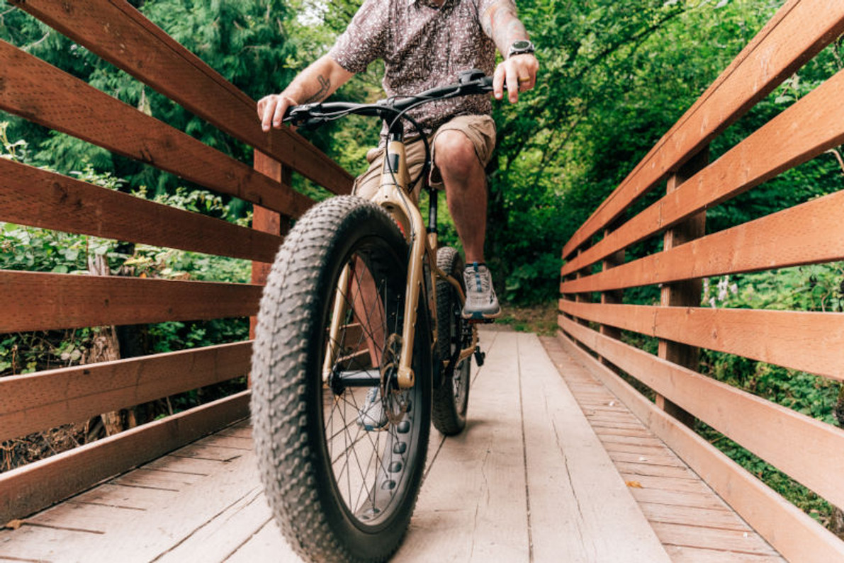 2021 IZIP Sumo Electric Fat Tire Bike - Now In Stock!