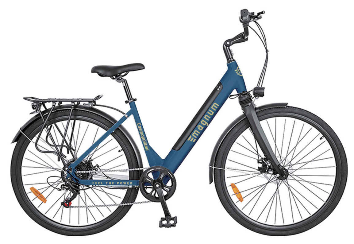 Review of the Affordable Serfas Dart 500 and Magnum Cosmo E-Bike