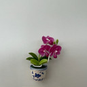 Dark Pink Phal Clay Magnet (Pot)