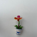 Maroon Paph Clay Magnet (Pot)
