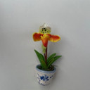 Orange Paph Clay Magnet (Pot)