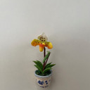 Orange Paph Clay Magnet (Pot)