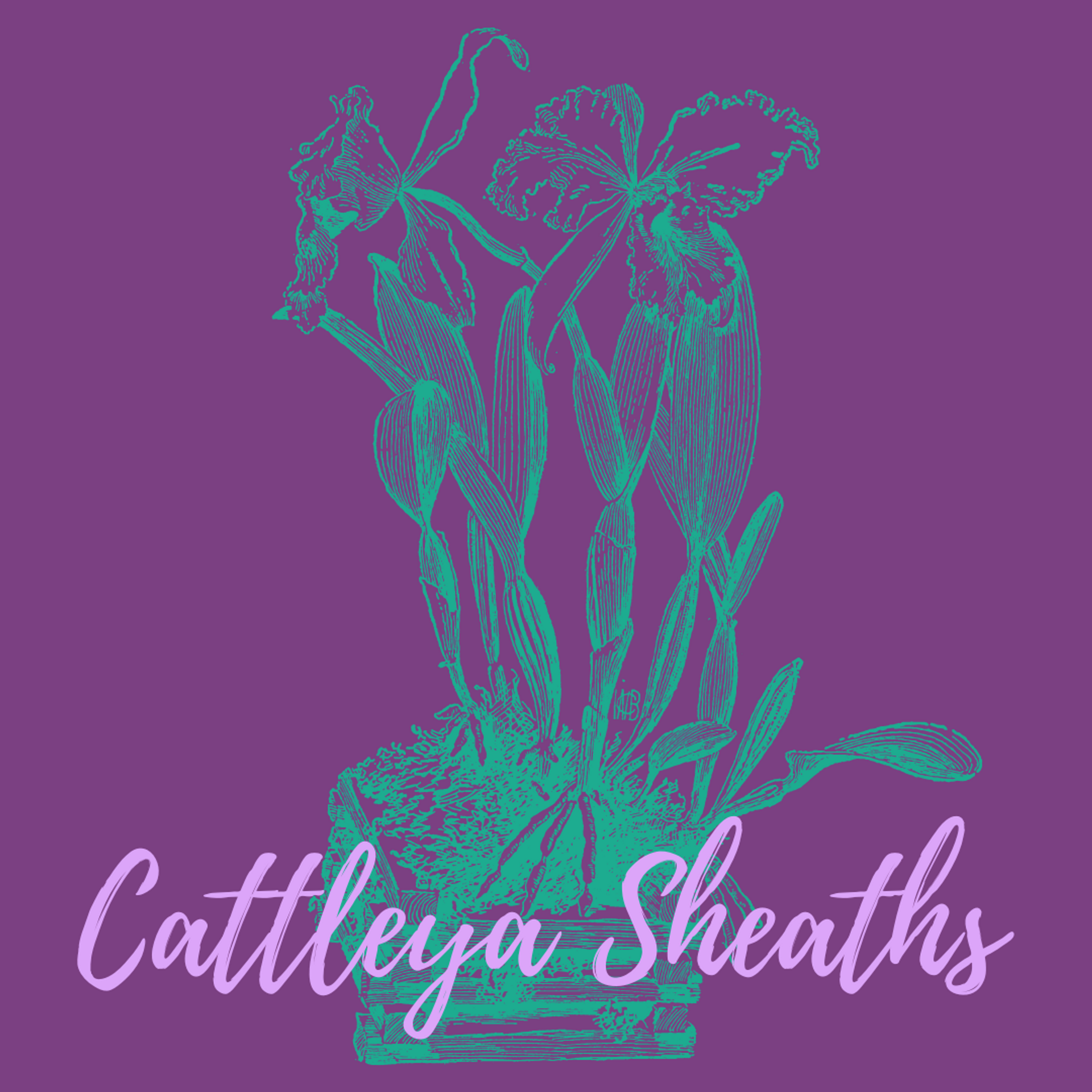 Why are my Cattleya pseudobulbs turning brown? Akatsuka Orchid Gardens