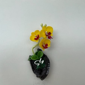 Yellow Phal Clay Magnet (Wood)