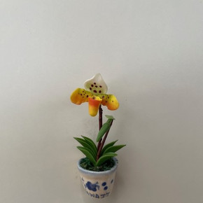 Orange Paph Clay Magnet (Pot)