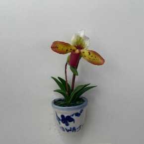 Spotted Maroon Paph Clay Magnet (Pot)